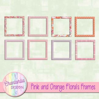 Free frames in a Pink and Orange Florals theme
