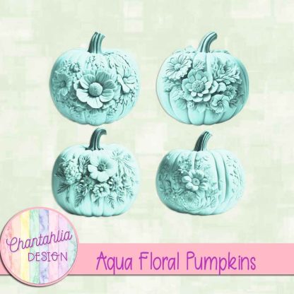 Free aqua floral pumpkins