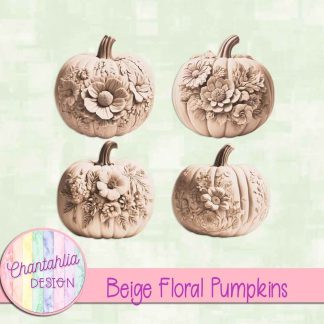 Free beige floral pumpkins