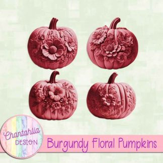 Free burgundy floral pumpkins