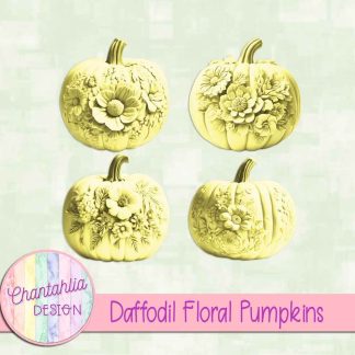 Free daffodil floral pumpkins