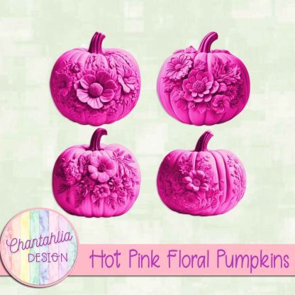 Free hot pink floral pumpkins