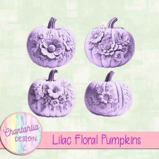 Free lilac floral pumpkins