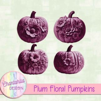 Free plum floral pumpkins