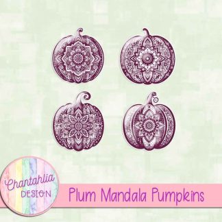 Free plum mandala pumpkins