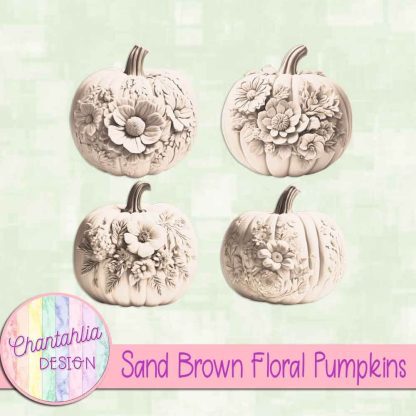 Free sand brown floral pumpkins