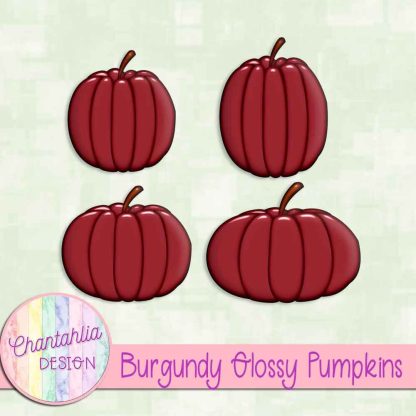 Free burgundy glossy pumpkins