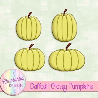 Free daffodil glossy pumpkins