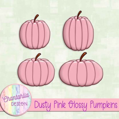 Free dusty pink glossy pumpkins