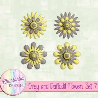 Free grey and daffodil flowers set 7