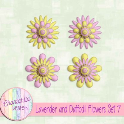 Free lavender and daffodil flowers set 7