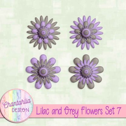 Free lilac and grey flowers set 7