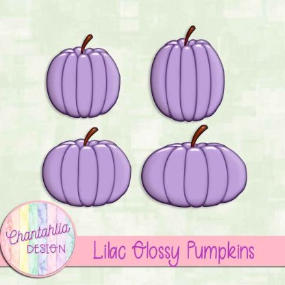 Free lilac glossy pumpkins