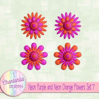 Free neon purple and neon orange flowers set 7