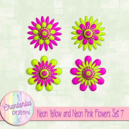 Free neon yellow and neon pink flowers set 7