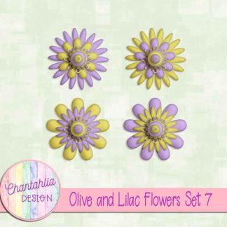 Free olive and lilac flowers set 7