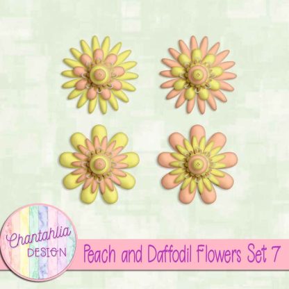 Free peach and daffodil flowers set 7