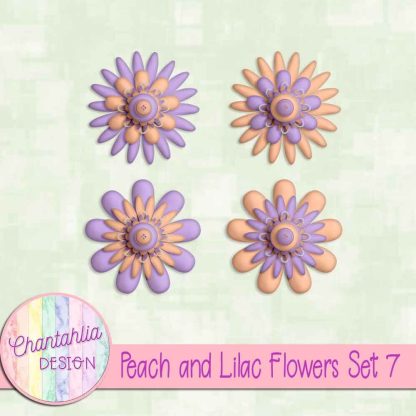 Free peach and lilac flowers set 7