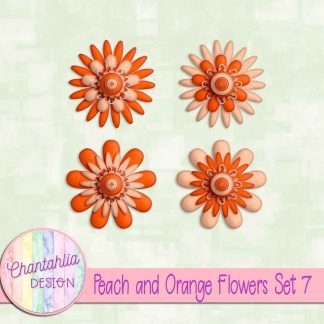 Free peach and orange flowers set 7