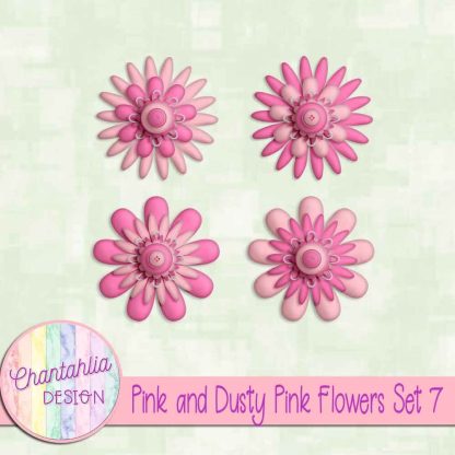 Free pink and dusty pink flowers set 7