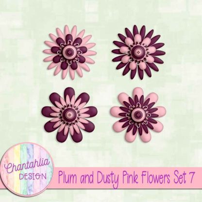 Free plum and dusty pink flowers set 7