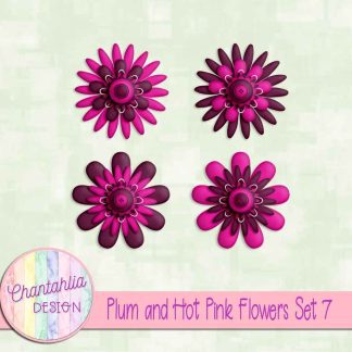 Free plum and hot pink flowers set 7