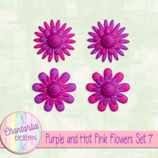 Free purple and hot pink flowers set 7