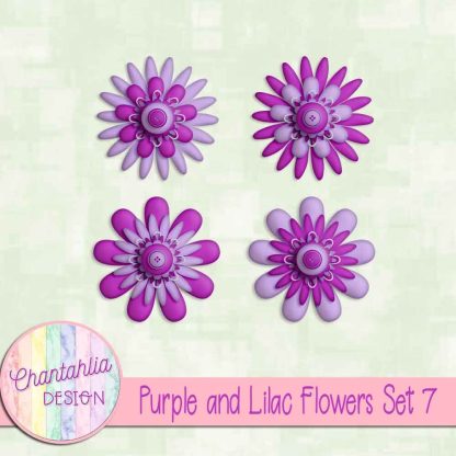 Free purple and lilac flowers set 7