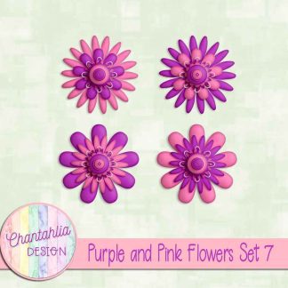 Free purple and pink flowers set 7