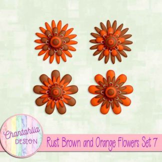 Free rust brown and orange flowers set 7