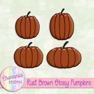 Free rust brown glossy pumpkins