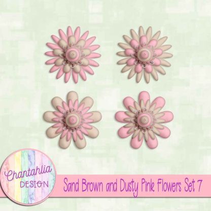 Free sand brown and dusty pink flowers set 7