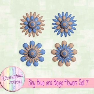 Free sky blue and beige flowers set 7