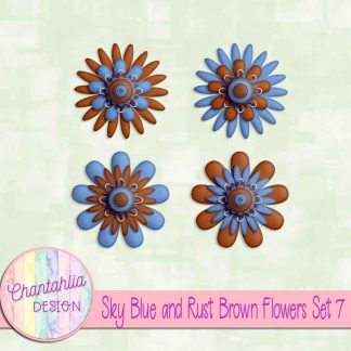 Free sky blue and rust brown flowers set 7