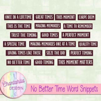 Free word snippets in a No Better Time theme