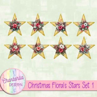 Free stars in a Christmas Florals theme