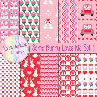 Free digital papers in a Some Bunny Loves Me Valentine theme