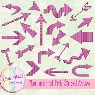 Free plum and hot pink striped arrows