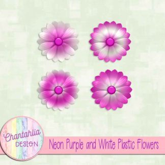 Free neon purple and white plastic flowers