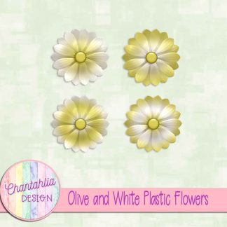 Free olive and white plastic flowers