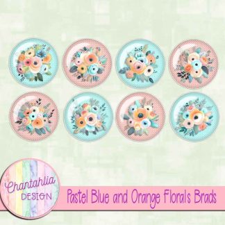 Free brads in a Pastel Blue and Orange Florals theme