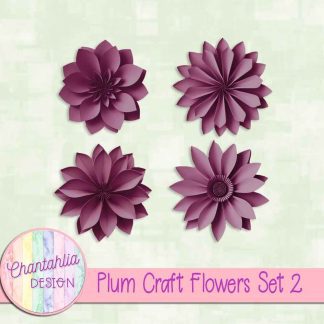 Free plum craft flowers