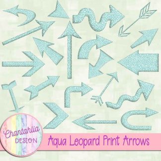 Free aqua leopard print arrows