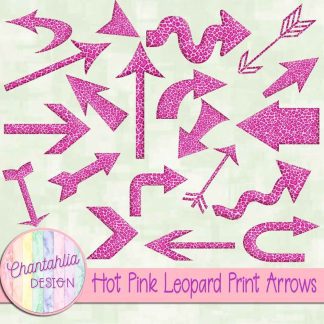 Free hot pink leopard print arrows