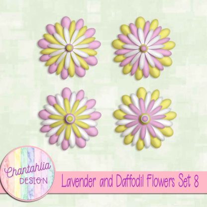 Free lavender and daffodil flowers set 8