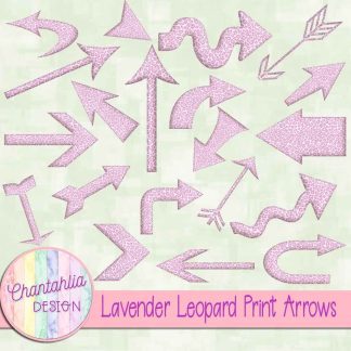 Free lavender leopard print arrows