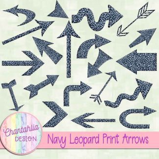 Free navy leopard print arrows