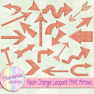 Free neon orange leopard print arrows