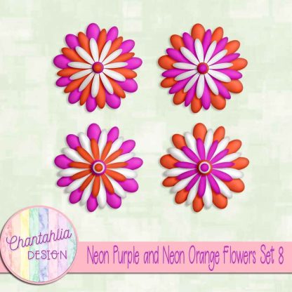 Free neon purple and neon orange flowers set 8