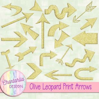Free olive leopard print arrows